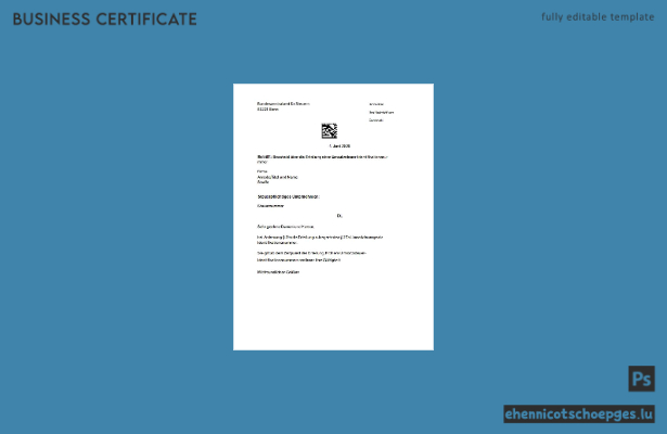 Germany Bundeszentralamt fur Steuern VAT registration sample preview